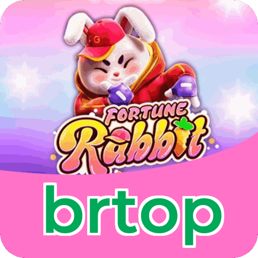 Equipe de suporte ao cliente da brtop